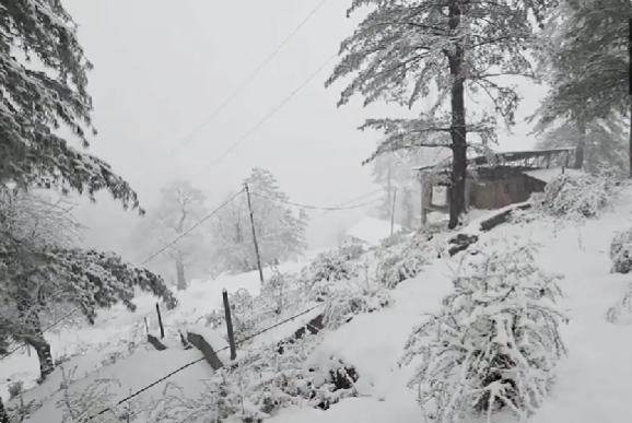 बटोटे में बर्फ की चादर, भारी बर्फबारी से तापमान में तेज गिरावट